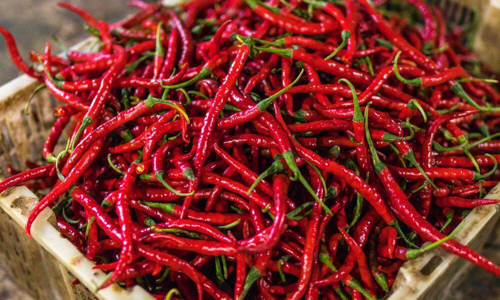 Curiosidades Fascinantes sobre Ingredientes